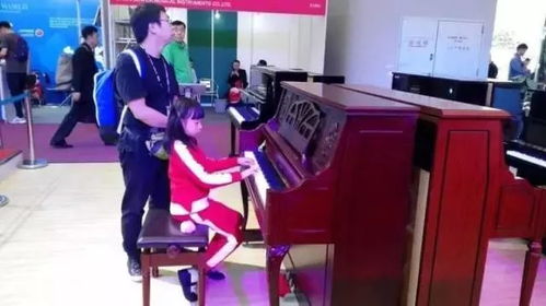 聚焦Music China 2017 中國（上海）國際樂器展覽會(huì)深度報(bào)道（三）——樂器篇